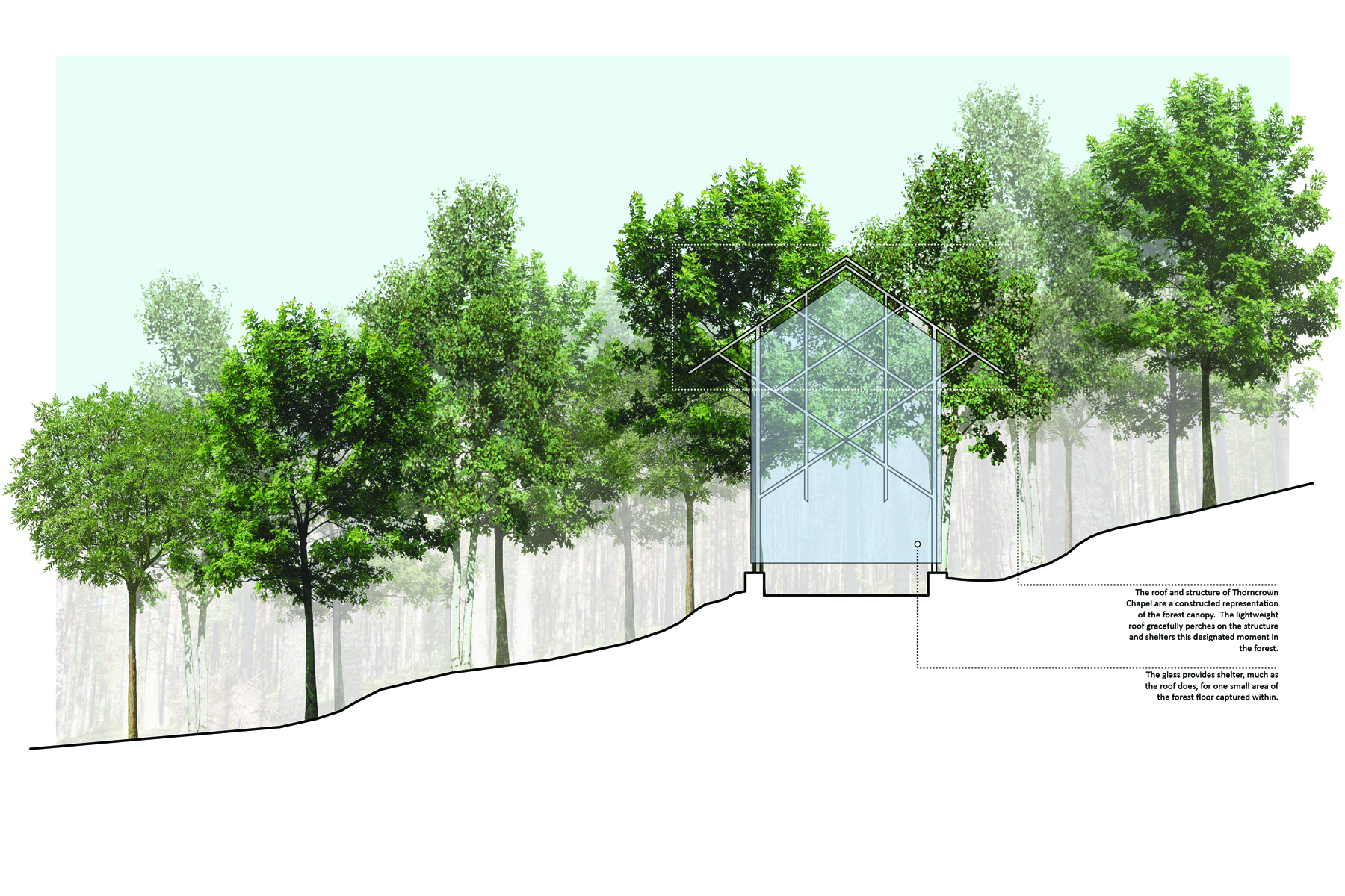 iat - thorncrown - forest capture